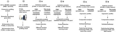 Targeted multiplex validation of CSF proteomic biomarkers: implications for differentiation of PCNSL from tumor-free controls and other brain tumors